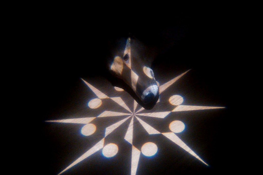 Tenho laivan hytissä kattovalon loisteessa.