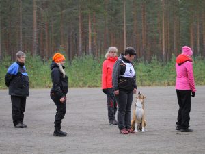 img_0373