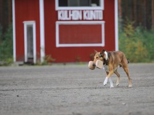 img_0381