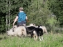Sauberin harrastuskuvia